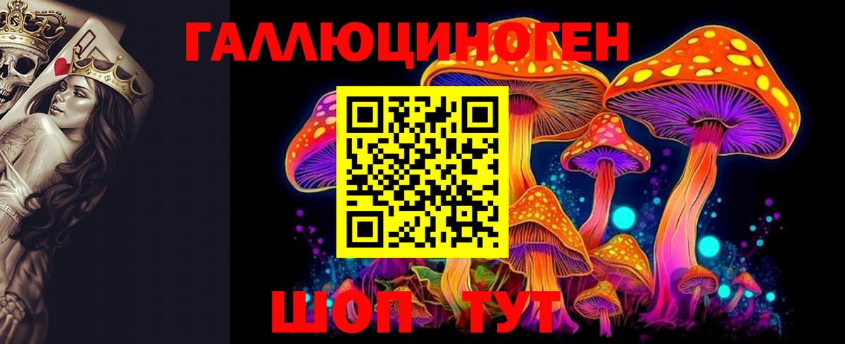 Строитель  Псилоцибиновые грибы Cubensis  Вход с VPN 